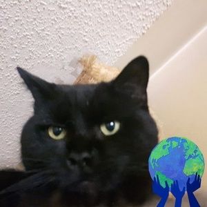 Meet your Posher, Dennis